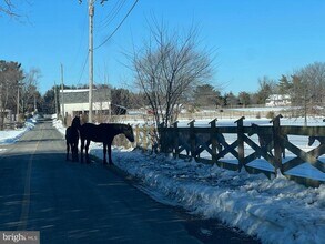 46 Buck Dr in Kintnersville, PA - Building Photo - Building Photo
