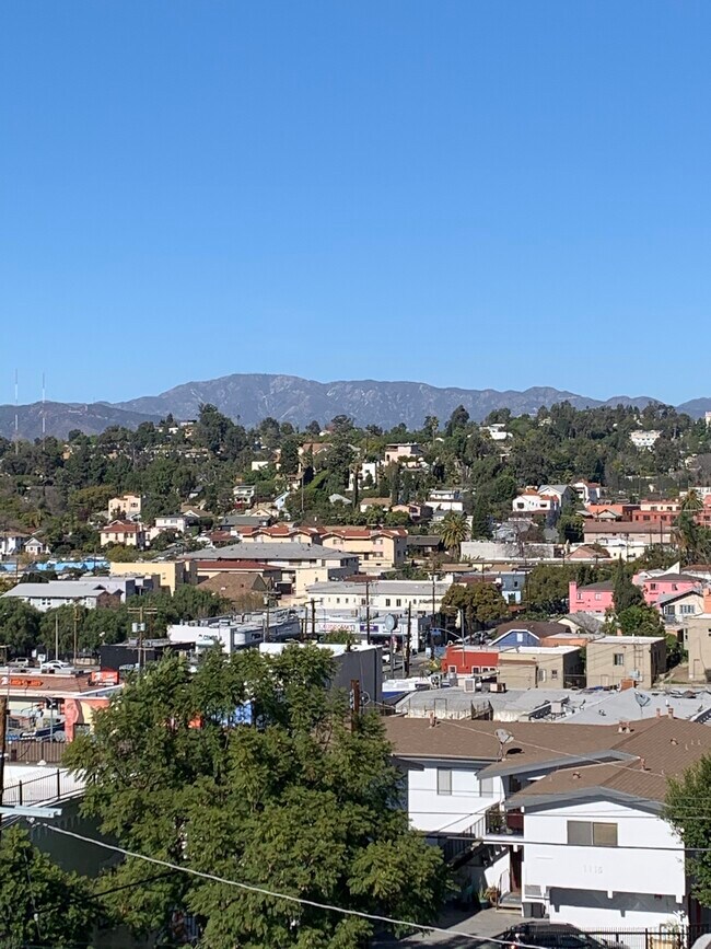 1072 Laguna Ave in Los Angeles, CA - Building Photo - Building Photo