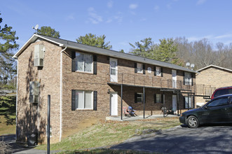 CHADWICK APARTMENTS in Kingsport, TN - Building Photo - Building Photo