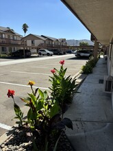 The Palms in San Marcos, CA - Foto de edificio - Building Photo