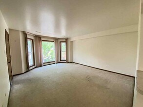 919 S Carpenter St in Chicago, IL - Building Photo - Building Photo