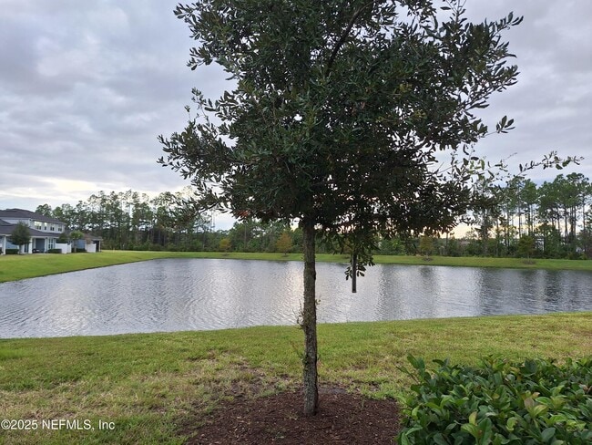 property at 55 Tamar Ct