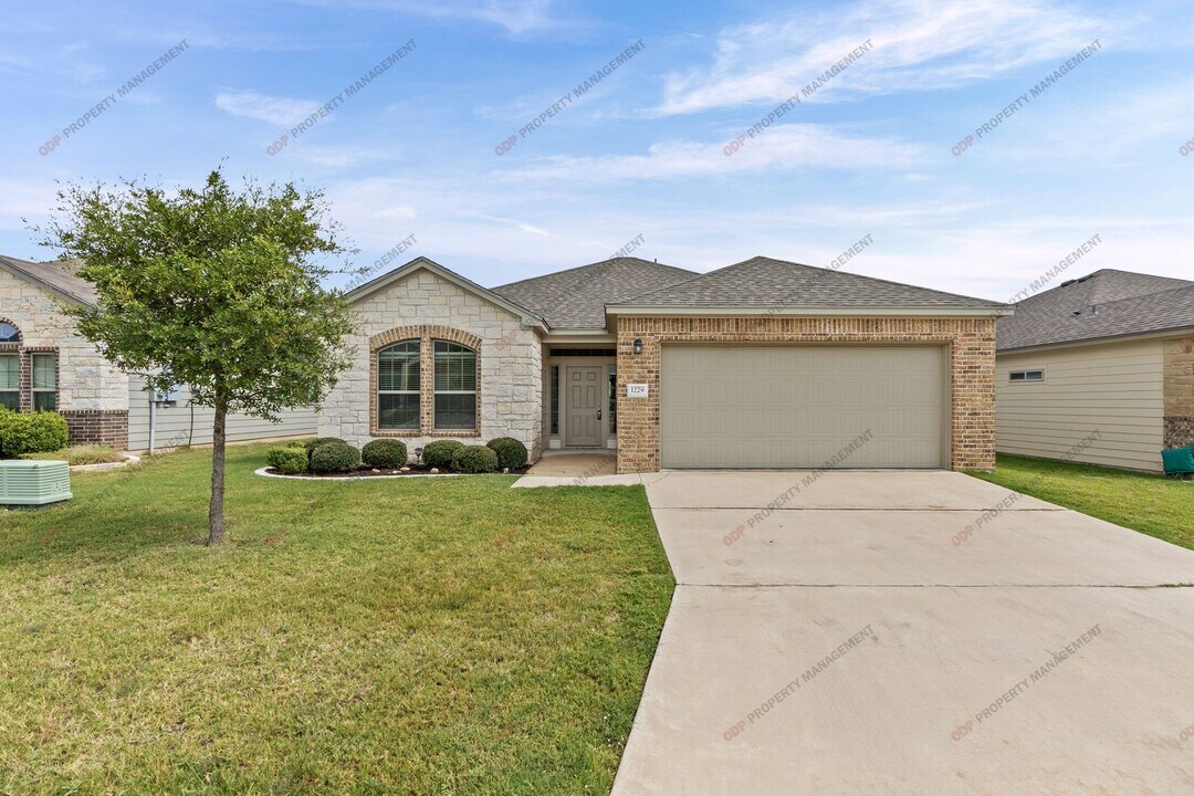 1229 Spring Terrace Loop in Temple, TX - Building Photo