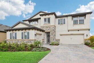 12829 Tortoise Shell Pl in Riverview, FL - Building Photo - Building Photo