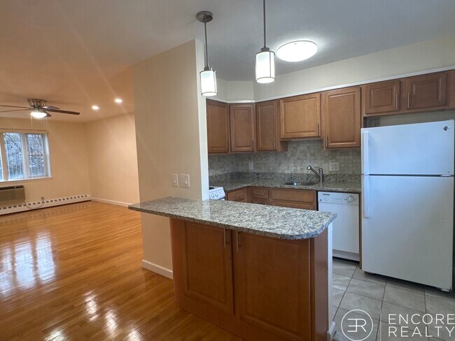 59 Parkman St, Unit 2A in Brookline, MA - Foto de edificio - Building Photo