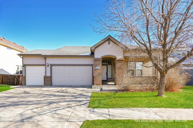 property at 4981 Mt Cameron Dr