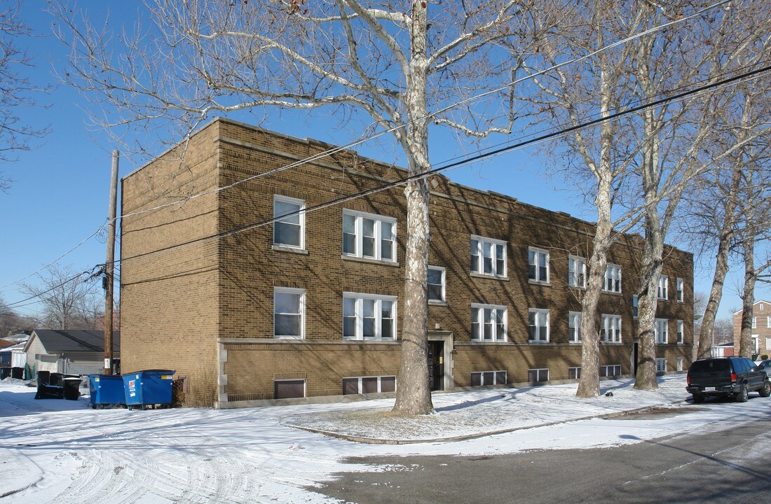 9202-9210 S Saginaw Ave in Chicago, IL - Building Photo