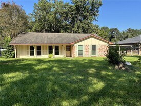 20420 Youpon Ln in Porter, TX - Building Photo