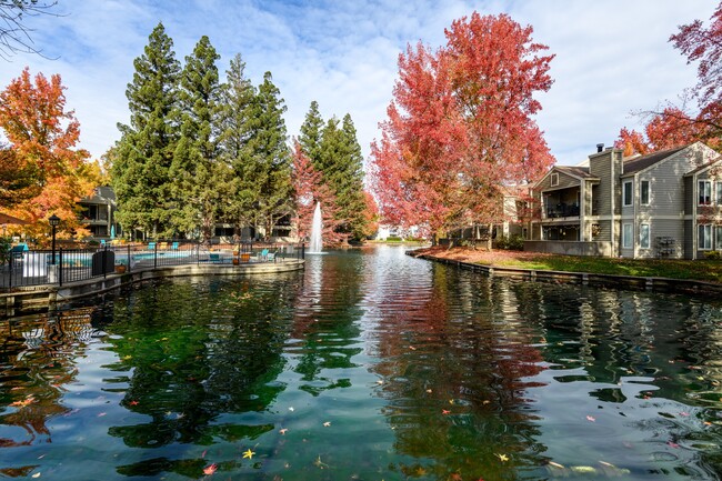 Harbor Oaks Apartments in Sacramento, CA - Building Photo - Building Photo