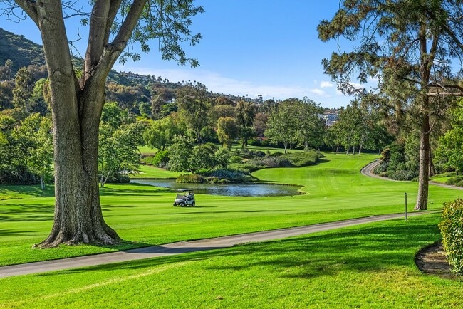 31461 E Nine Dr in Laguna Niguel, CA - Foto de edificio - Building Photo