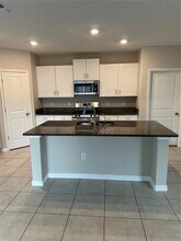 5254 White Chicory Dr in Apollo Beach, FL - Building Photo - Building Photo