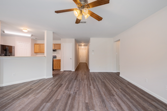 394 Dandelion Loop in Kyle, TX - Building Photo - Building Photo