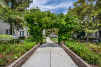 Pavona Apartments in San Jose, CA - Foto de edificio - Building Photo