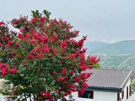 870 Windridge Cir in San Marcos, CA - Building Photo