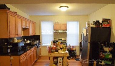 115 Browne St, Unit 1 in Brookline, MA - Building Photo - Building Photo