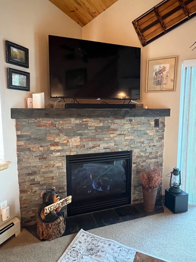 290 Revett Dr in Breckenridge, CO - Building Photo - Building Photo