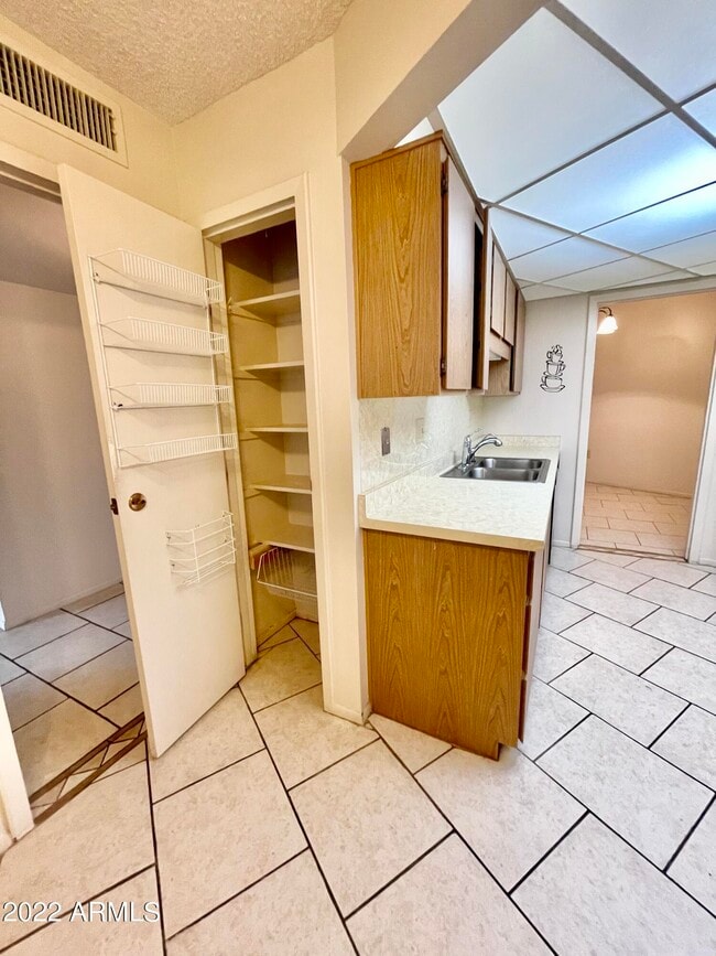 10867 W Emerald Dr in Sun City, AZ - Building Photo - Building Photo