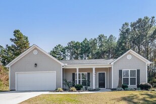 165 Spring Cir in Senoia, GA - Building Photo