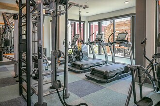 The Drake in Charlotte, NC - Building Photo - Building Photo