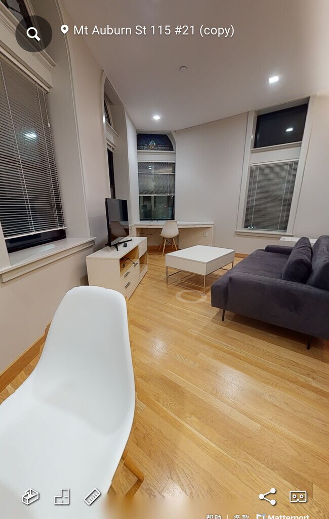 property at 111 Mount Auburn St