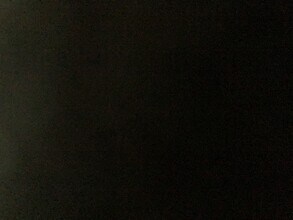 8153 Whitburn Dr in St. Louis, MO - Building Photo - Building Photo