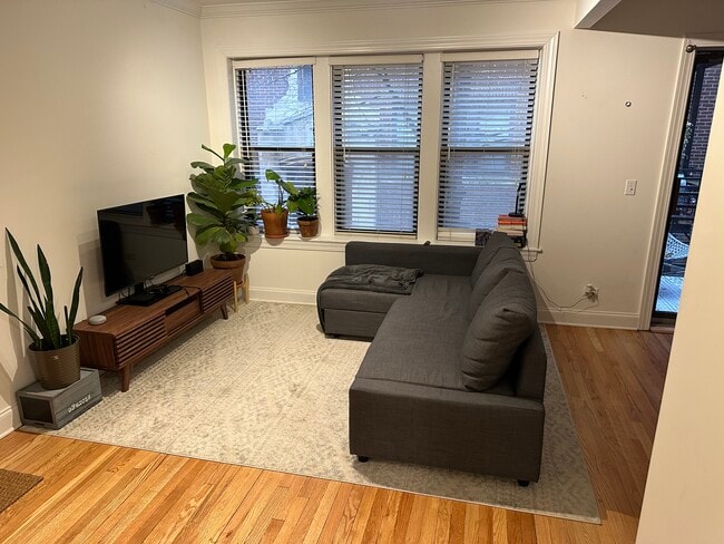 1141 W Grace St, Unit 1S in Chicago, IL - Building Photo - Building Photo