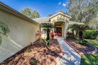 10124 Cannon Dr in Riverview, FL - Building Photo - Building Photo