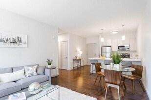 41 Marion St, Unit 209 in Brookline, MA - Building Photo