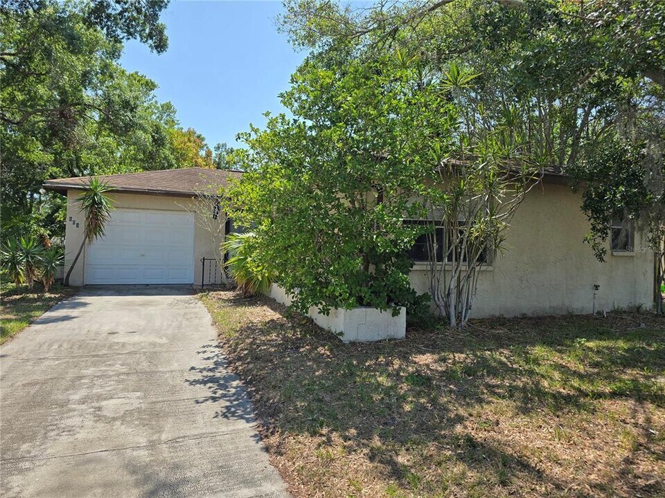 809 Green Valley Rd in Palm Harbor, FL - Building Photo