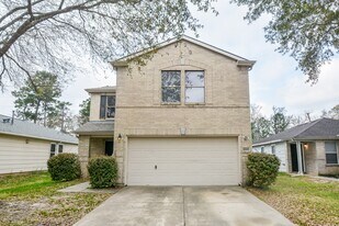 22951 Twisting Pine Dr in Spring, TX - Building Photo