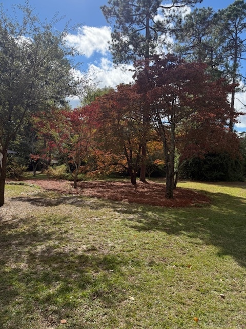 1323 Salem Rd in Hartsville, SC - Building Photo - Building Photo