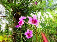 15-1414-1414 24th Ave photo'