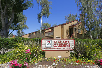 Macara Gardens in Sunnyvale, CA - Building Photo - Building Photo