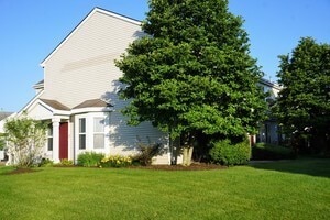 3616 Forestview Dr in Joliet, IL - Building Photo - Building Photo