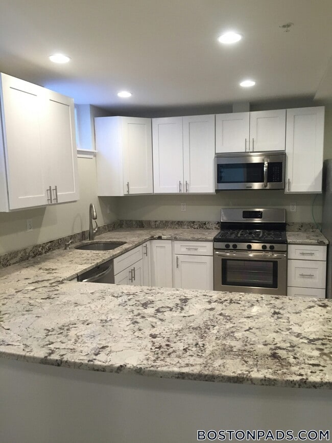 231 Norfolk St, Unit 1 in Cambridge, MA - Foto de edificio - Building Photo