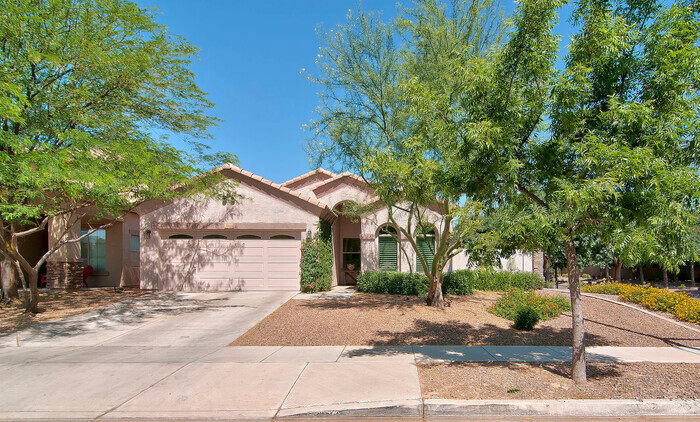 3860 S Marigold Way in Gilbert, AZ - Building Photo