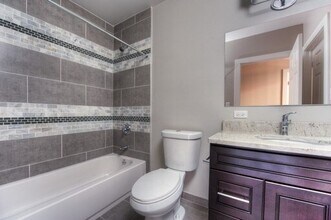 359 W Chicago Ave in Chicago, IL - Building Photo - Building Photo