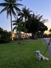 2720 NE 1st Way in Wilton Manors, FL - Building Photo - Building Photo