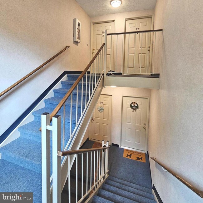 7754 New Providence Dr in Falls Church, VA - Building Photo - Building Photo
