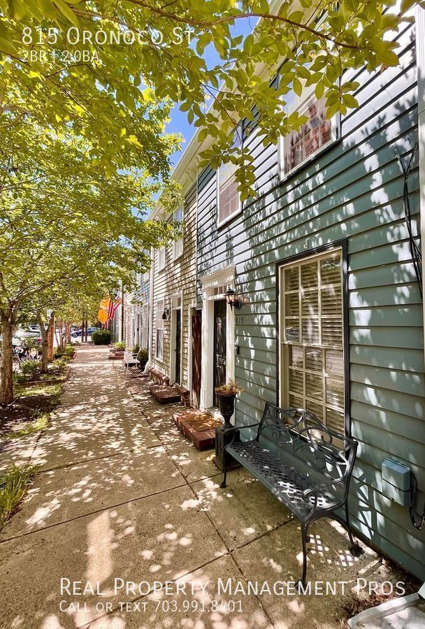 property at 815 Oronoco St