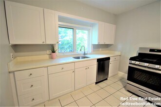 9 Undine Rd in Boston, MA - Building Photo - Building Photo