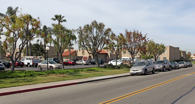 Oxford Terrace in Chula Vista, CA - Building Photo - Building Photo