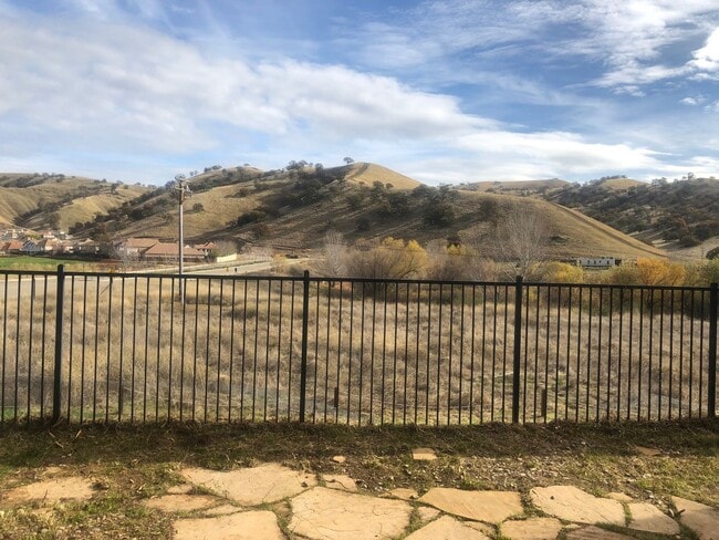 9369 Vintner Cir in Patterson, CA - Building Photo - Building Photo