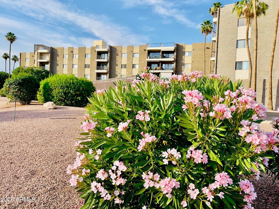 425 S Parkcrest in Mesa, AZ - Foto de edificio