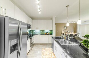 1100 Trinity Mills Rd in Carrollton, TX - Building Photo
