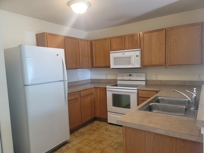 234 Bertram Dr in Yorkville, IL - Building Photo - Building Photo