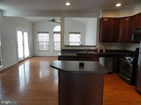 25310 Mastery Pl in Aldie, VA - Foto de edificio - Building Photo