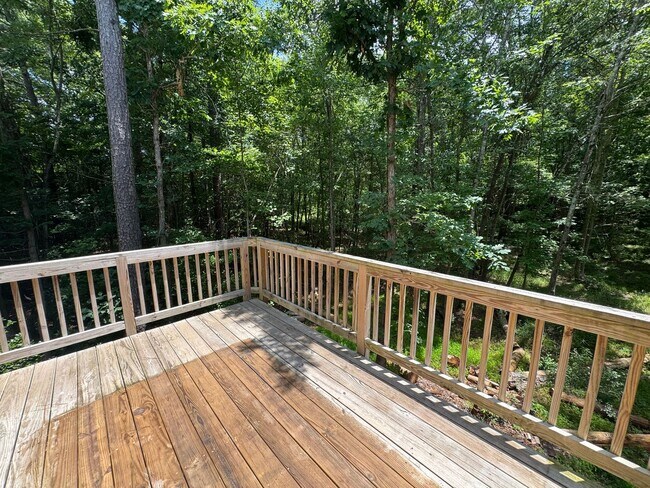 133 Cobalt Creek Way in Holly Springs, NC - Building Photo - Building Photo