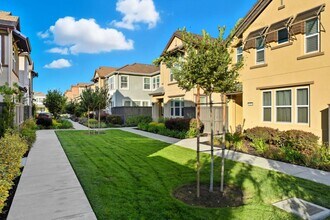 819 Maddox Loop in San Jose, CA - Building Photo - Building Photo