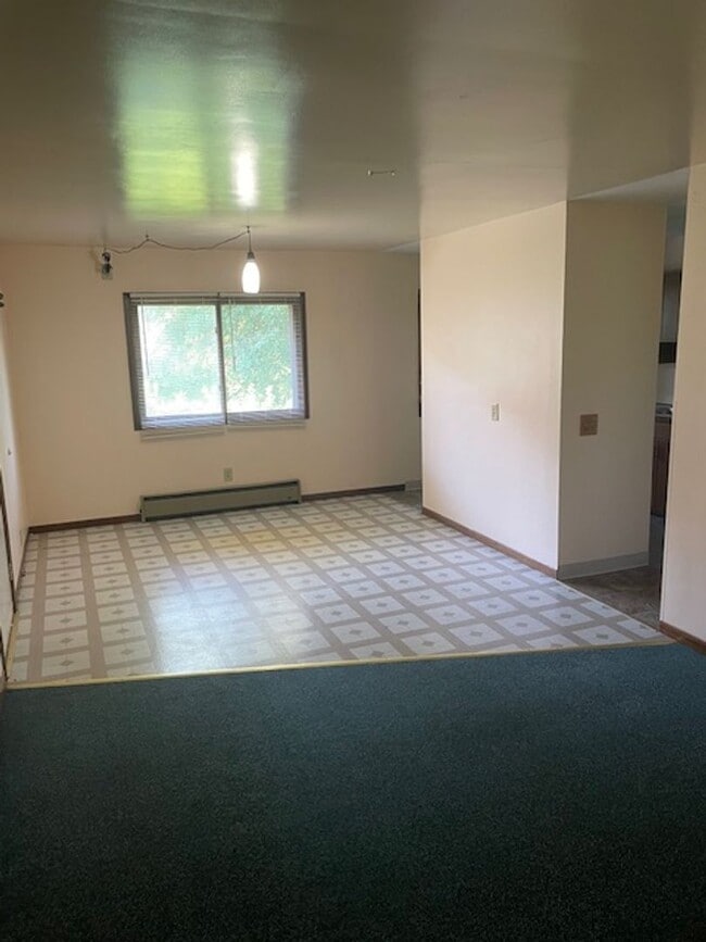 916 S 6th St in Brainerd, MN - Building Photo - Building Photo